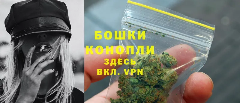 где найти наркотики  Щёкино  Каннабис SATIVA & INDICA 